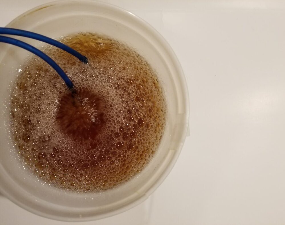 Bio Worm Tea