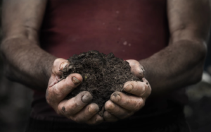 Compost