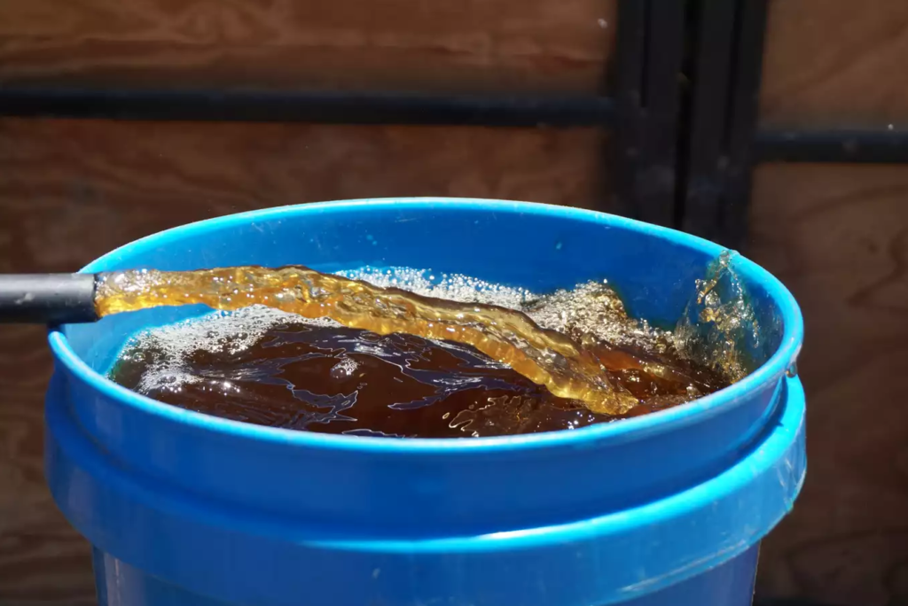 Worm Extract