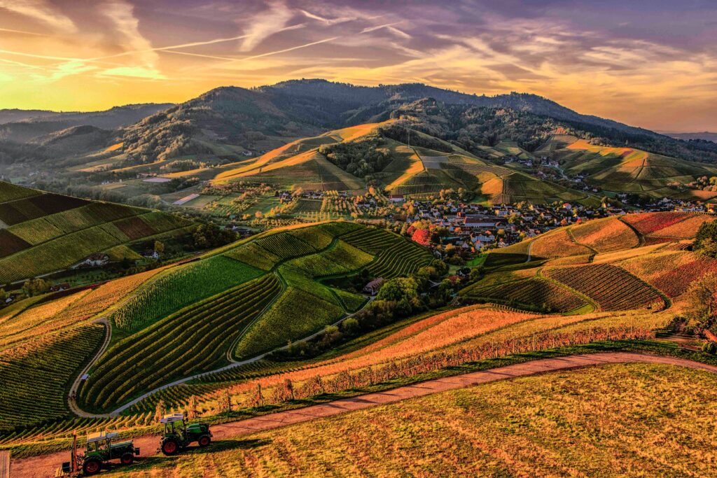 Regenerative farming